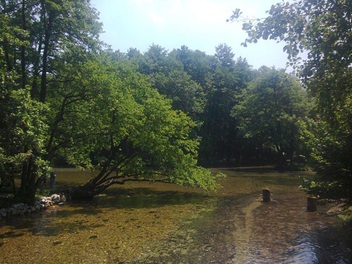 Villa Vrelo Bosne Sarajevo Ngoại thất bức ảnh